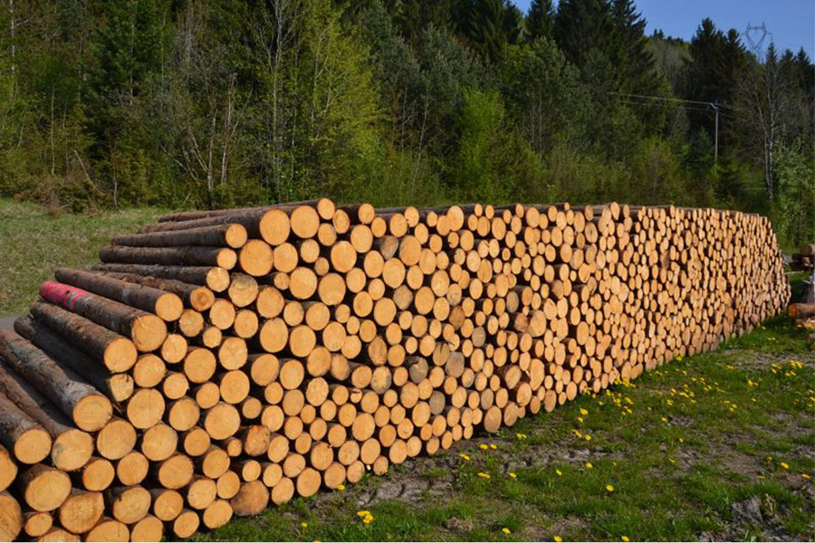 Pile de bois